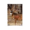 BIRCHWOOD CASEY BC PREGAME 16.5 X 24 WHITETAIL TARGET 3 PK